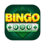 Bingo 101